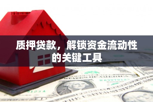 路环岛质押贷款，解锁资金流动性的关键工具