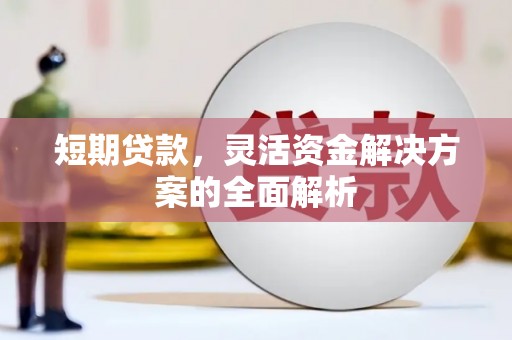 路环岛短期贷款，灵活资金解决方案的全面解析