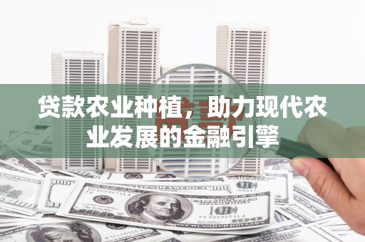 路环岛贷款农业种植，助力现代农业发展的金融引擎