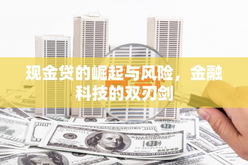 路环岛现金贷的崛起与风险，金融科技的双刃剑