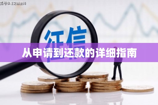 路环岛从申请到还款的详细指南