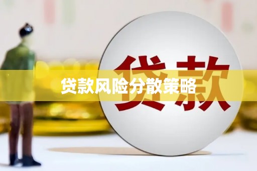 路环岛贷款风险分散策略