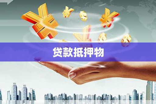 路环岛贷款抵押物