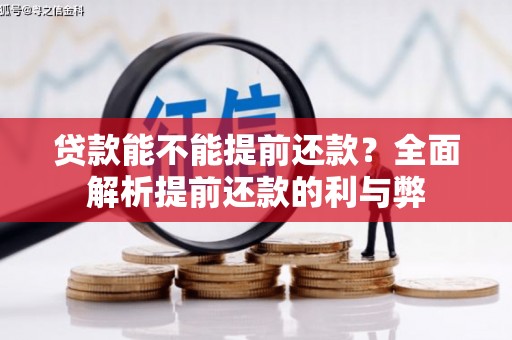 路环岛贷款能不能提前还款？全面解析提前还款的利与弊