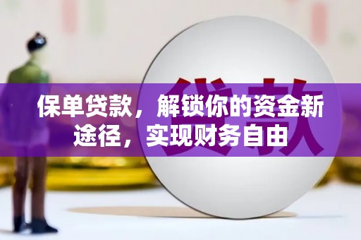 路环岛保单贷款，解锁你的资金新途径，实现财务自由
