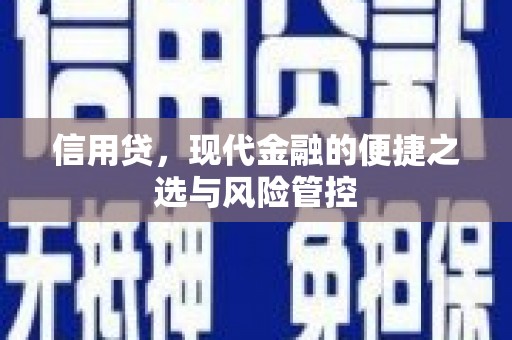 路环岛信用贷，现代金融的便捷之选与风险管控