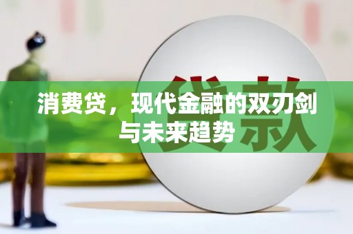 路环岛消费贷，现代金融的双刃剑与未来趋势