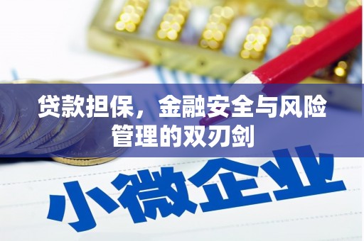 路环岛贷款担保，金融安全与风险管理的双刃剑