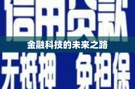 路环岛金融科技的未来之路