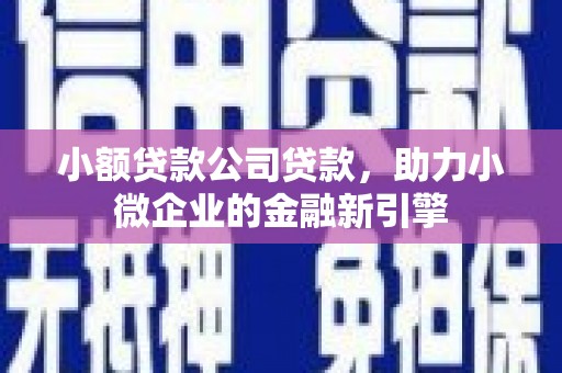 路环岛小额贷款公司贷款，助力小微企业的金融新引擎