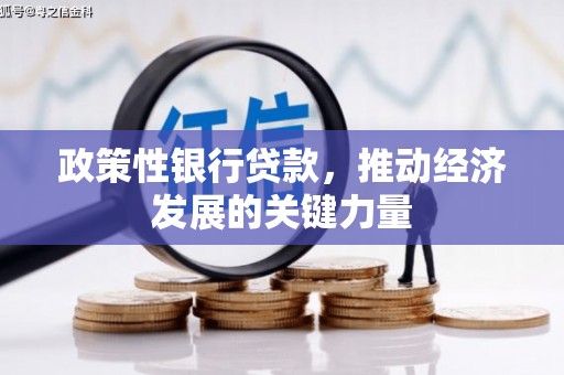 路环岛政策性银行贷款，推动经济发展的关键力量