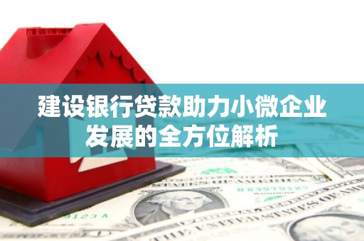 路环岛建设银行贷款助力小微企业发展的全方位解析