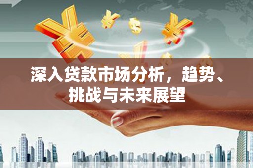 路环岛深入贷款市场分析，趋势、挑战与未来展望
