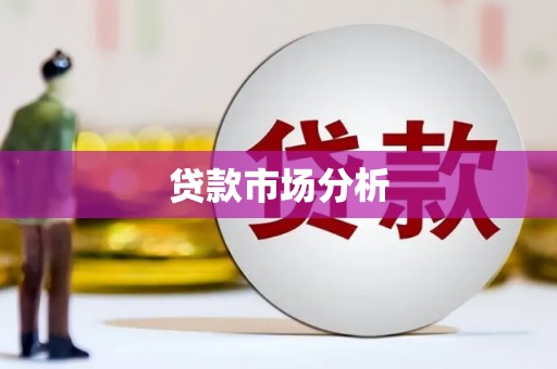 路环岛贷款市场分析