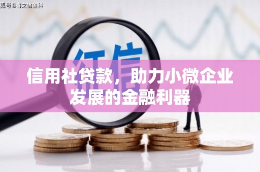 路环岛信用社贷款，助力小微企业发展的金融利器