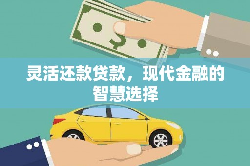 路环岛灵活还款贷款，现代金融的智慧选择