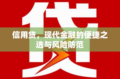 路环岛信用贷，现代金融的便捷之选与风险防范