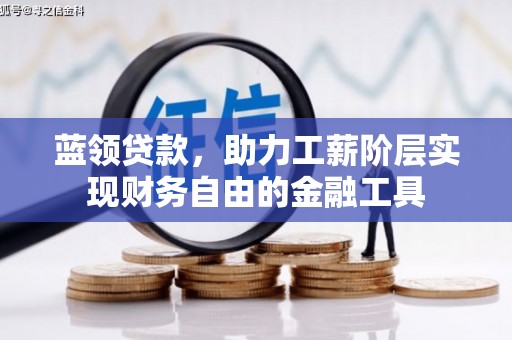 路环岛蓝领贷款，助力工薪阶层实现财务自由的金融工具