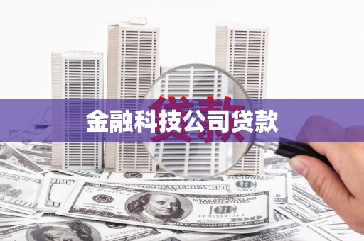 路环岛金融科技公司贷款
