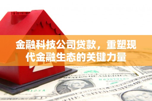 路环岛金融科技公司贷款，重塑现代金融生态的关键力量