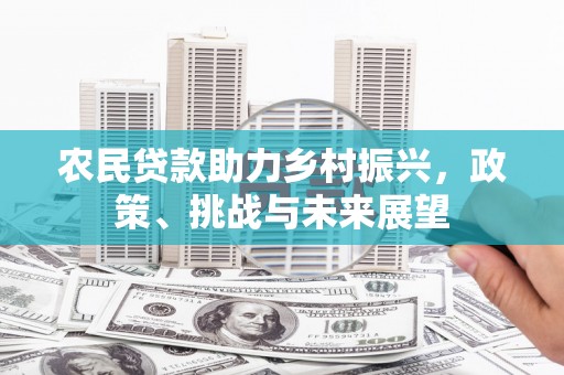 路环岛农民贷款助力乡村振兴，政策、挑战与未来展望