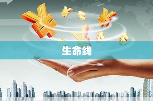 路环岛生命线