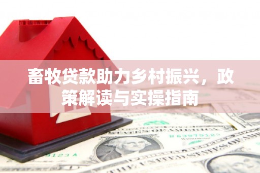 路环岛畜牧贷款助力乡村振兴，政策解读与实操指南