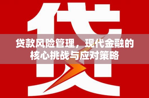 路环岛贷款风险管理，现代金融的核心挑战与应对策略
