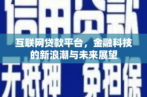 路环岛互联网贷款平台，金融科技的新浪潮与未来展望