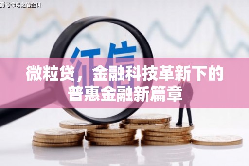 路环岛微粒贷，金融科技革新下的普惠金融新篇章
