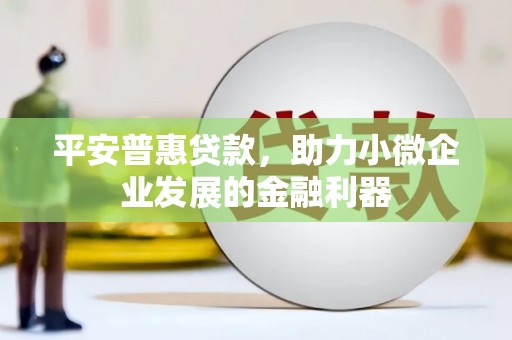 路环岛平安普惠贷款，助力小微企业发展的金融利器
