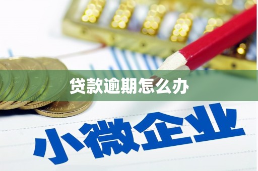 路环岛贷款逾期怎么办