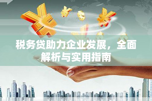 路环岛税务贷助力企业发展，全面解析与实用指南