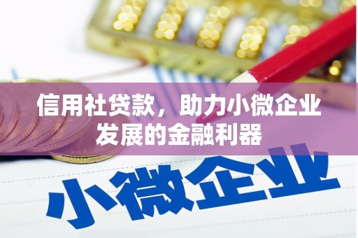 路环岛信用社贷款，助力小微企业发展的金融利器