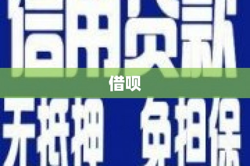 路环岛借呗