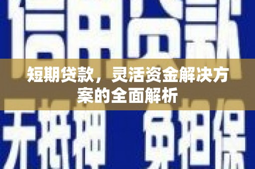 路环岛短期贷款，灵活资金解决方案的全面解析