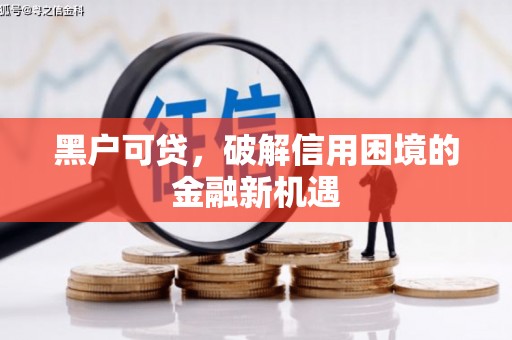 路环岛黑户可贷，破解信用困境的金融新机遇