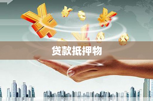 路环岛贷款抵押物