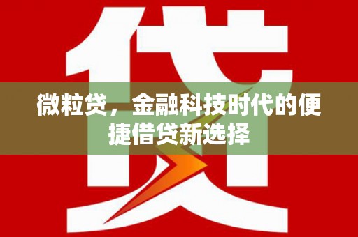 路环岛微粒贷，金融科技时代的便捷借贷新选择