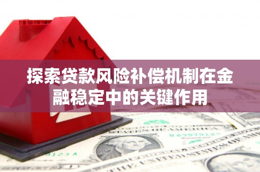 路环岛探索贷款风险补偿机制在金融稳定中的关键作用
