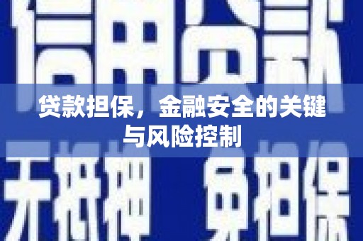路环岛贷款担保，金融安全的关键与风险控制