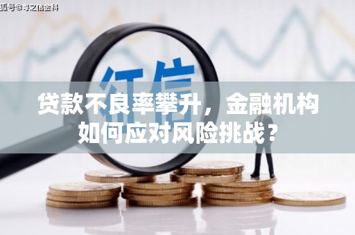 路环岛贷款不良率攀升，金融机构如何应对风险挑战？