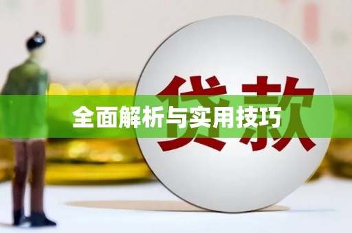 路环岛全面解析与实用技巧