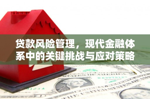 路环岛贷款风险管理，现代金融体系中的关键挑战与应对策略
