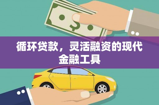 路环岛循环贷款，灵活融资的现代金融工具