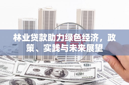 路环岛林业贷款助力绿色经济，政策、实践与未来展望