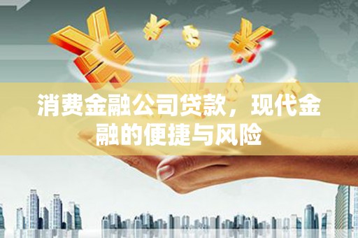 路环岛消费金融公司贷款，现代金融的便捷与风险
