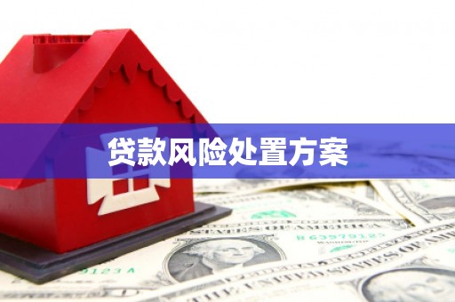 路环岛贷款风险处置方案