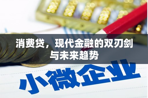 路环岛消费贷，现代金融的双刃剑与未来趋势