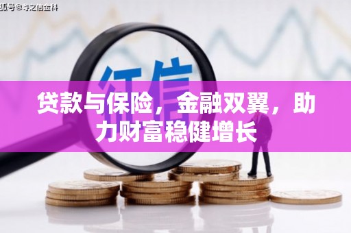 路环岛贷款与保险，金融双翼，助力财富稳健增长